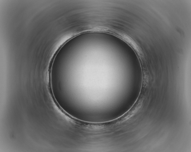 X0000112481095200908241249