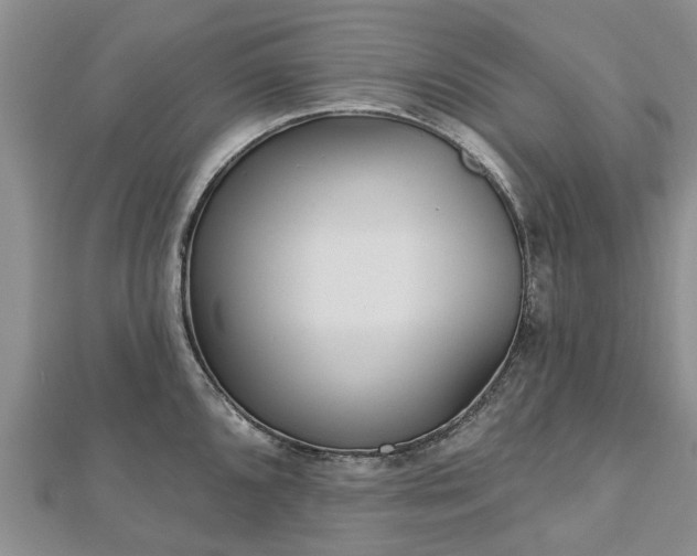 X0000112481096200908241249