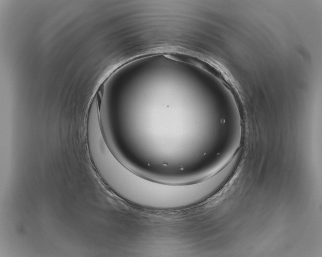 X0000112481097200908241249
