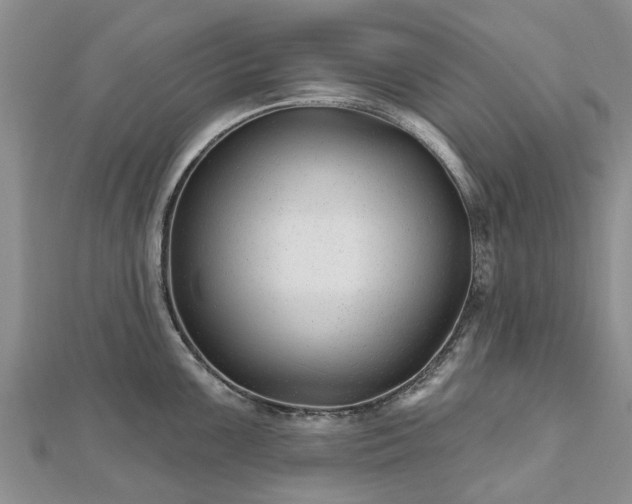 X0000112481099200908241249