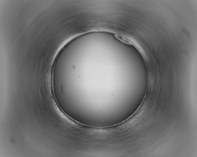 X0000112481100200908241249