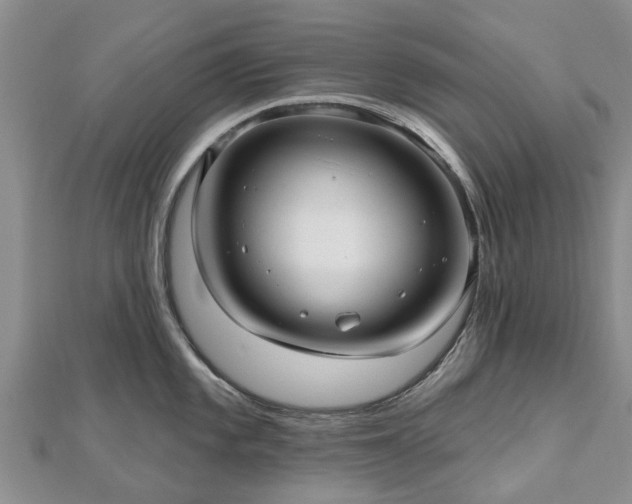 X0000112481101200908241249