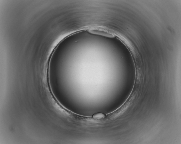 X0000112481102200908241249