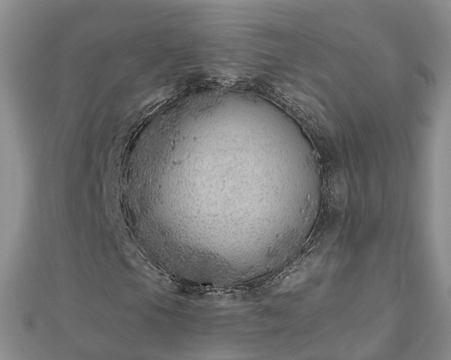 X0000112481105200908241248