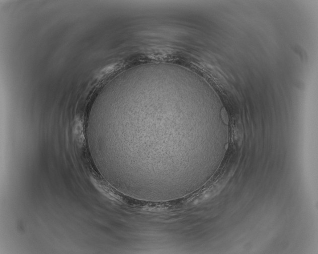 X0000112481106200908241248