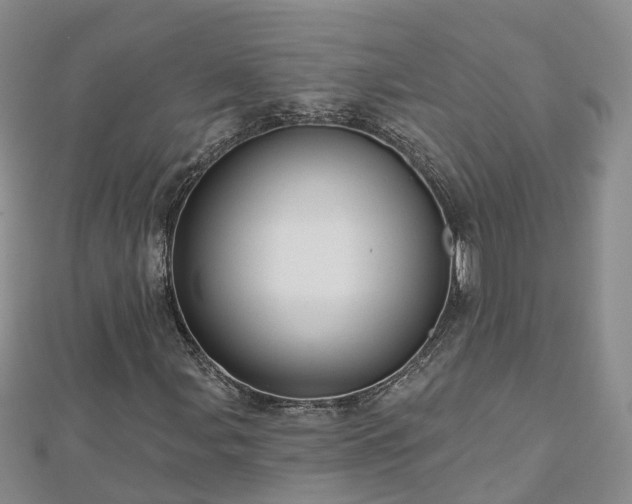 X0000112481107200908241248