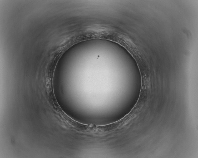 X0000112481109200908241248