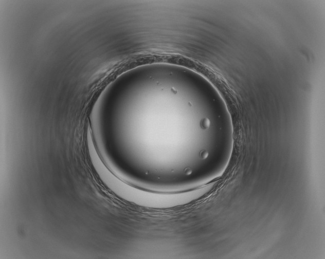 X0000112481110200908241248
