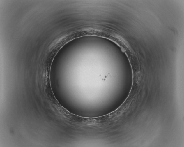 X0000112481111200908241248