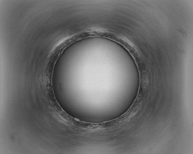 X0000112481112200908241248