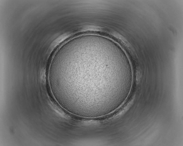 X0000112481113200908241248