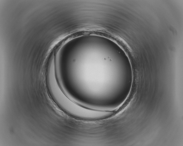 X0000112481114200908241248