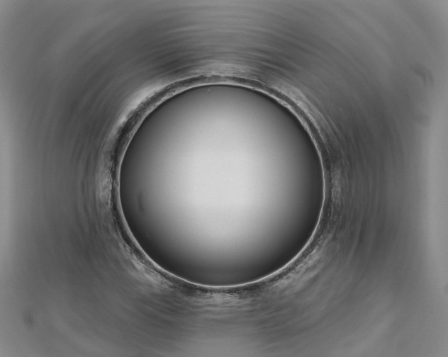 X0000112481115200908241248