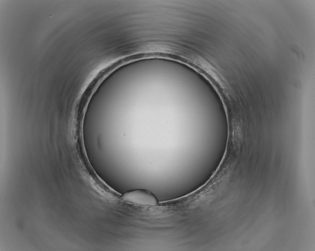 X0000112481116200908241248
