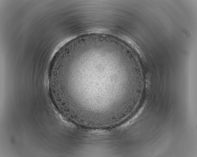 X0000112481117200908241248