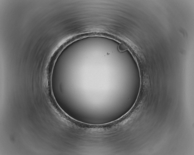 X0000112481118200908241248
