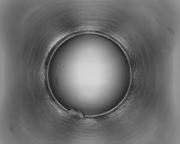 X0000112481119200908241248