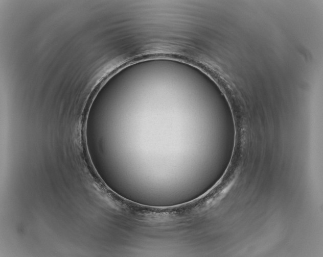 X0000112481121200908241248