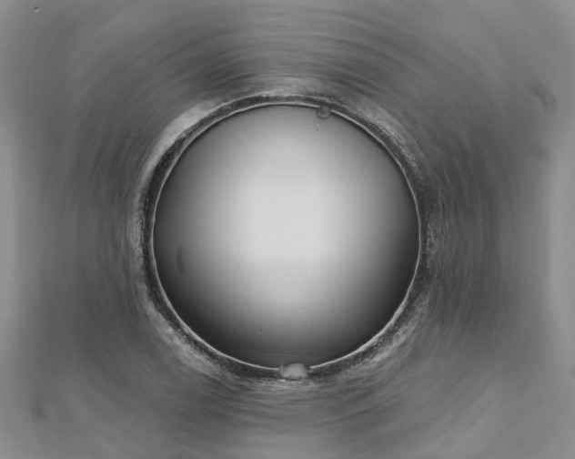 X0000112481122200908241248