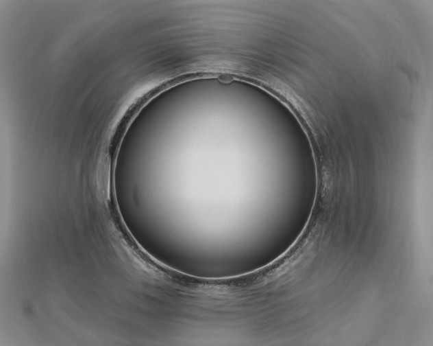 X0000112481123200908241248