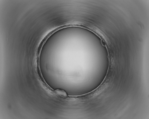 X0000112481124200908241248