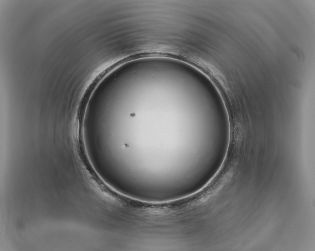 X0000112481125200908241248