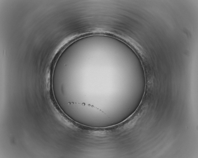 X0000112481126200908241248