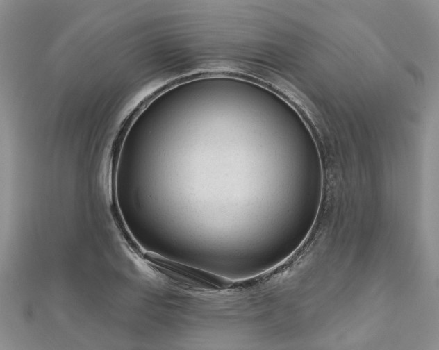 X0000112481127200908241248