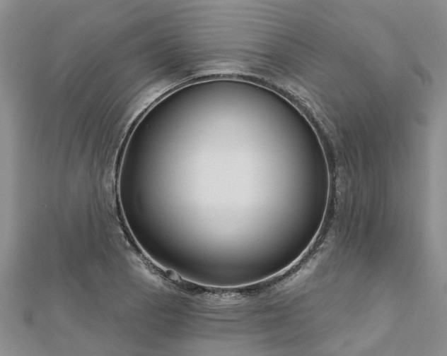 X0000112481129200908241248