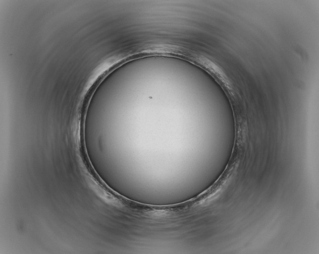 X0000112481130200908241248