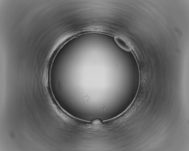 X0000112481131200908241248