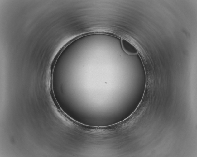 X0000112481132200908241248