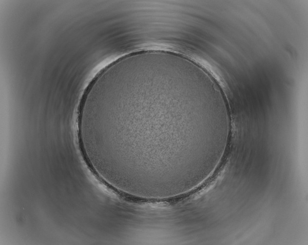 X0000112481133200908241248