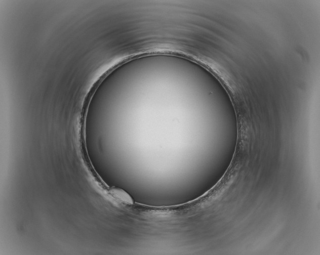 X0000112481134200908241248