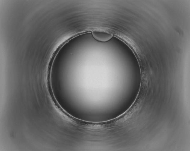 X0000112481135200908241249