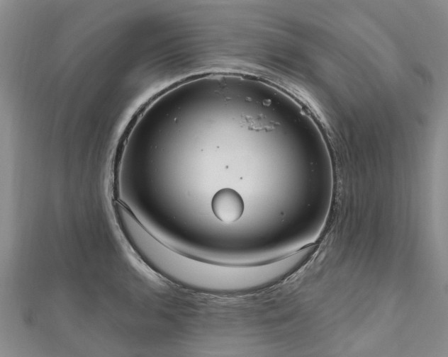 X0000112481136200908241249