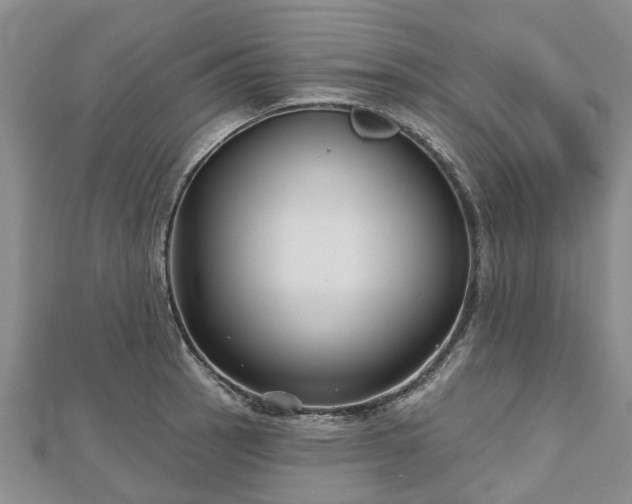 X0000112481137200908241249