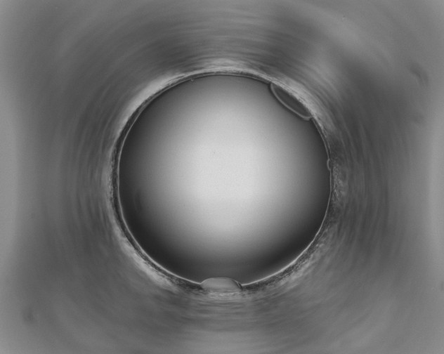 X0000112481142200908241249