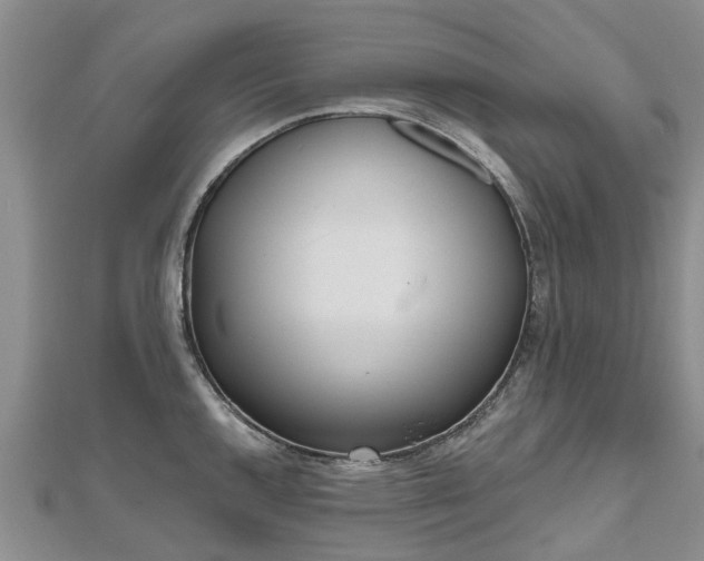 X0000112481144200908241249