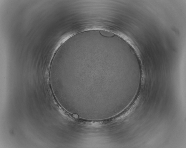 X0000112481145200908241249