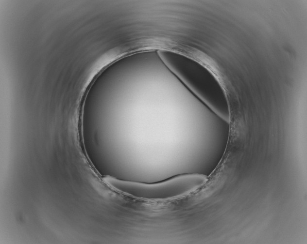 X0000112481146200908241249