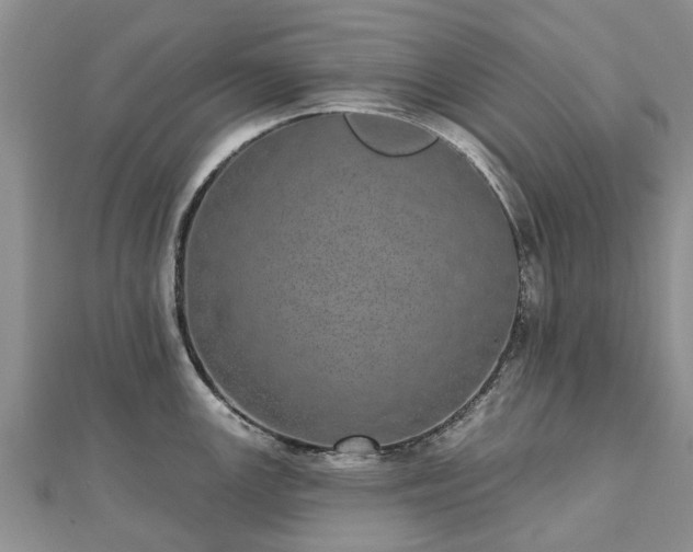 X0000112481147200908241249