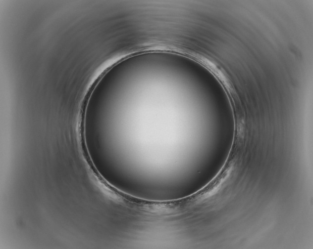 X0000112481149200908241249
