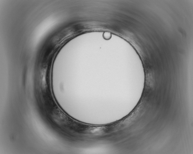 X0000112481150200908241249