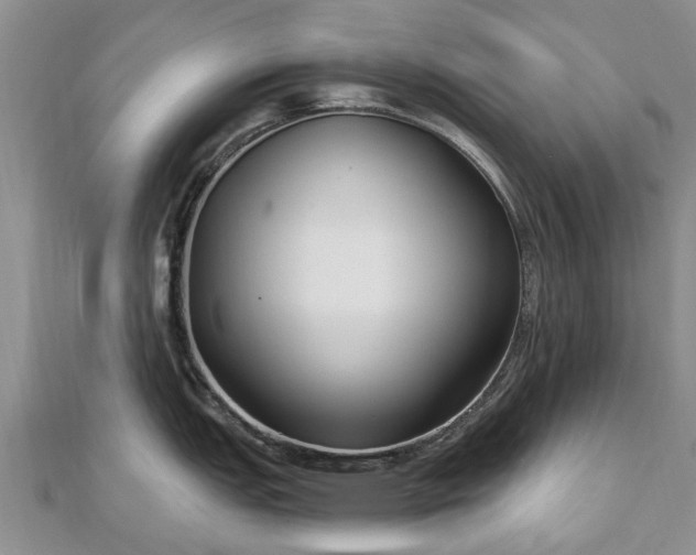 X0000112481151200908241249