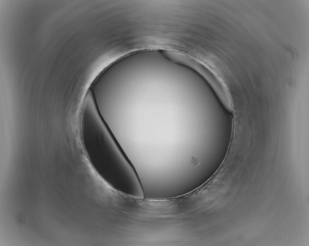 X0000112481152200908241249
