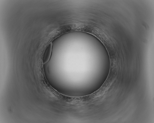 X0000112481153200908241248