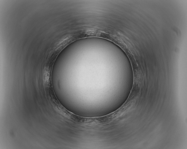 X0000112481154200908241248