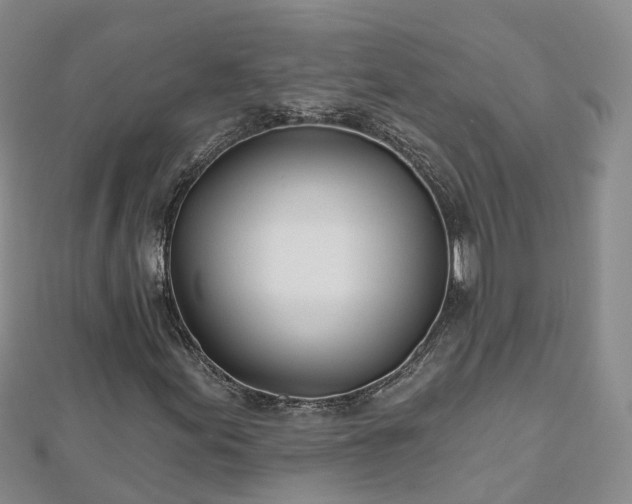 X0000112481155200908241248
