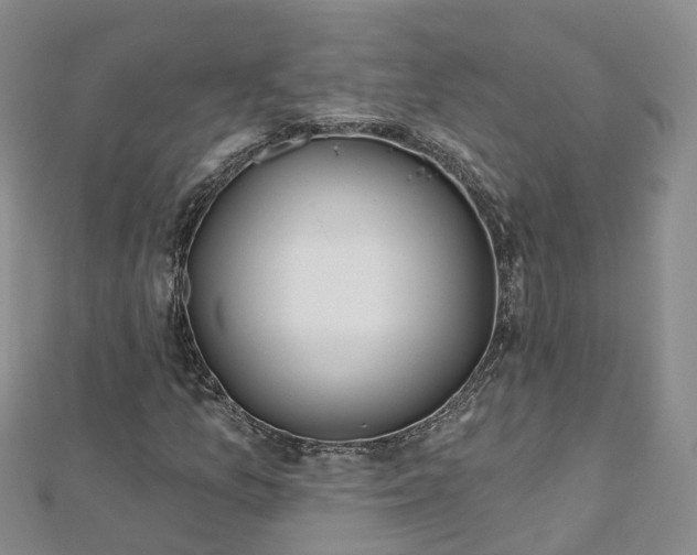 X0000112481157200908241248